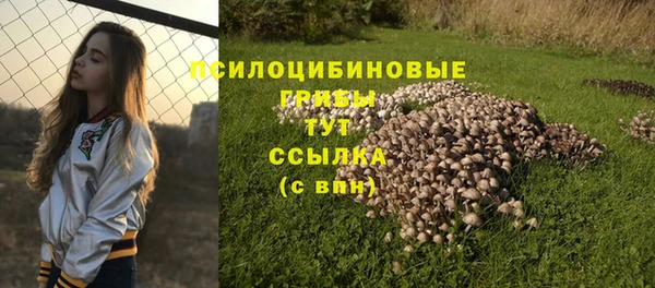 мяу мяу мука Алексин